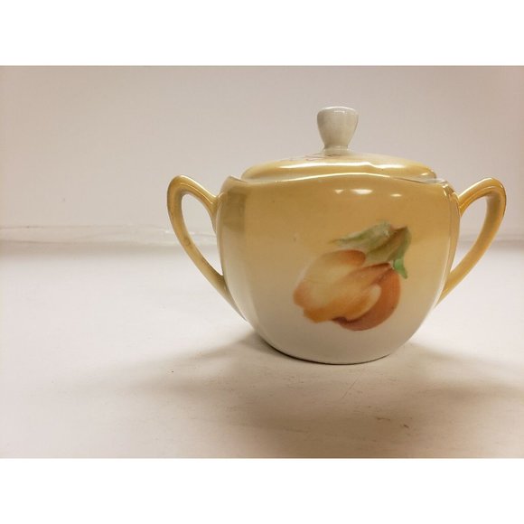 Vintage Porcelain Sugar Bowl with lid R.S. Tillowitz Earth tones flower peach - Picture 2 of 5